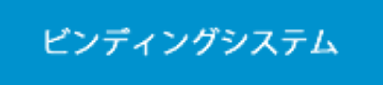 ビンディングシステム